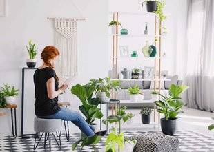 Pleine Vie 404 LE PLEIN DE PLANTES ET FLEURS DANS MA MAISON