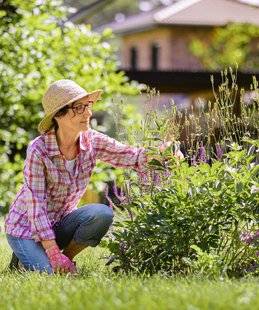 Pleine Vie 406 Ces fleurs qui aiment la chaleur