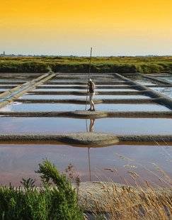 Pleine Vie 406 NOS 4 MARAIS SALANTS À DÉCOUVRIR