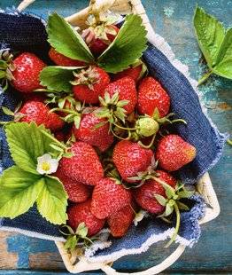 Pleine Vie 407 Fraise, la belle rouge