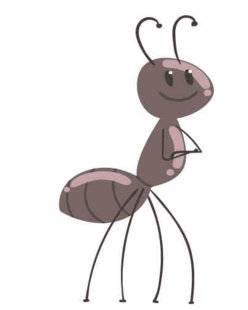 Pleine Vie 411 Pour venir à bout des fourmis