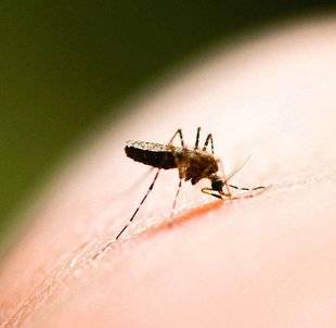 Pleine Vie 411 Prévention POUR REPOUSSER LES INSECTES, VIVE L'AROMATHÉRAPIE !