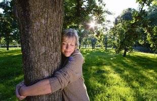 Pleine Vie 411 “LA FORÊT STIMULE NOTRE ÉNERGIE ET NOS DÉFENSES IMMUNITAIRES”