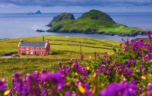 Pleine Vie 411 Cork & Kerry, en vert et pour tous