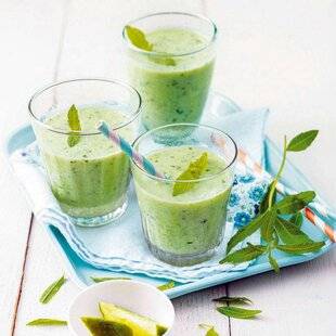 Pleine Vie 457 Smoothie menthe, verveine et fromage frais