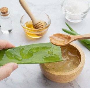 Pleine Vie 458 L'ALOE VERA, l'allié de l'été
