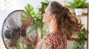 Pleine Vie 458 Bien choisir UN VENTILATEUR