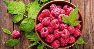 Pleine Vie 458 La framboise, le fruit bonbon