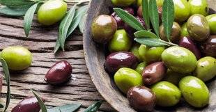 Pleine Vie 459 L'olive, fruit du soleil