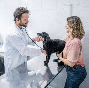 Pleine Vie 459 CASTRER OU NE PAS CASTRER SON CHIEN, telle est la question