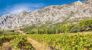 Pleine Vie 460 Les trésors cachés de la route des vins