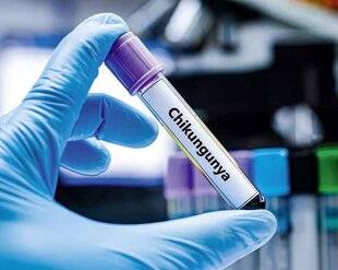 Pleine Vie 471 CHIKUNGUNYA Où en est-on avec le vaccin ?