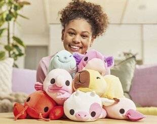 Pleine Vie 474 Un zoo d'animaux différents