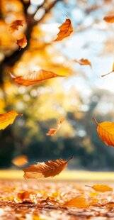 Pleine Vie 475 S' il suffisait d'un pas