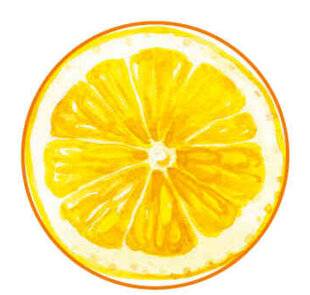 Pleine Vie 475 ZOU LES MOUCHES !