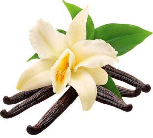 Pleine Vie 475 Redécouvrir la vanille