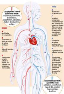 Pleine Vie 475 LES EFFETS DE LA CHALEUR ET DU FROID SUR LE CŒUR