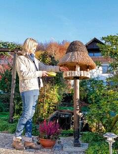 Pleine Vie 475 Le jardin, refuge pour la faune sauvage en hiver