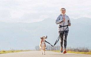 Pleine Vie 476 La cani-rando, des balades actives avec son chien