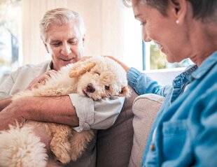 Pleine Vie 476 ADOPTER UN ANIMAL APRÈS 70 ANS : bonne ou mauvaise idée ?