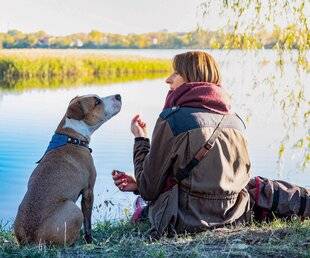 Pleine Vie 476 QUAND NOUS LEUR PARLONS comme à des enfants