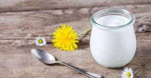 Pleine Vie 477 Le yaourt nature, petit pot plein de vertus