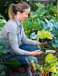 Pleine Vie 477 Tomate & Cie : le temps des semis