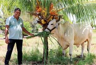 Pleine Vie 477 ILS FONT LE SALON DE L'AGRICULTURE