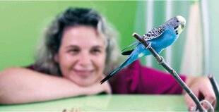 Pleine Vie 477 Comment prendre soin DE MES PERRUCHES ?