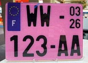 Pleine Vie 477 PLAQUES ROSES