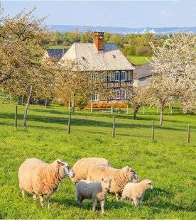 Pleine Vie 478 L'Eure,terre de savoir-faire