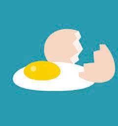 Pleine Vie 478 ŒUF CASSÉ