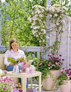Pleine Vie 480 Contenir les plantes grimpantes