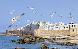 Pleine Vie 480 Flânerie enchanteresse SUR LES CÔTES MAROCAINES