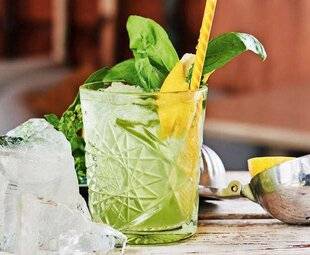 Pleine Vie 481 Le basilic, signature aromatique du moment
