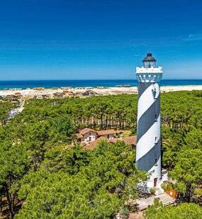 Pleine Vie 481 Les Landes, derrière le rideau de pins