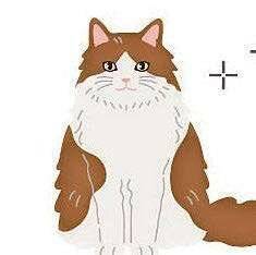 Pleine Vie 482 TOUT DOUX, LE CHAT !