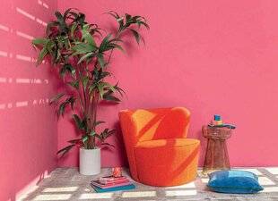 Le Journal de la Maison 561 ON VEUT DE LA COULEUR !