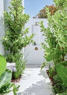 Le Journal de la Maison 562 ZEN DE PIED EN CAP