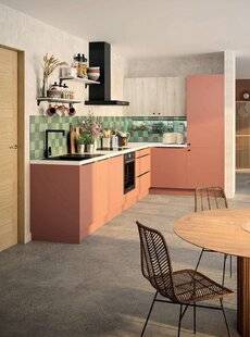 Le Journal de la Maison 564 Le réveil d'Hygena
