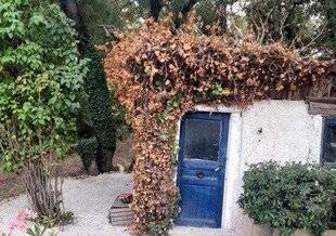 Mon Jardin & Ma Maison 774 Lierre desséché