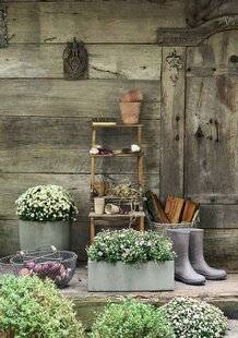 Mon Jardin & Ma Maison 775 C'EST L'AUTOMNE, ON REMISE…