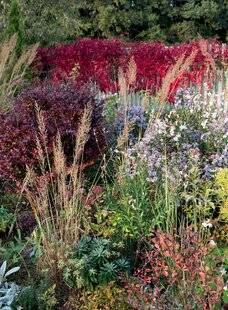 Mon Jardin & Ma Maison 775 Une broderie d’automne