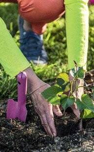 Mon Jardin & Ma Maison 775 Les tropiques en cuisine