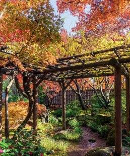 Mon Jardin & Ma Maison 776 TOUJOURS SOIGNER LE CADRE…