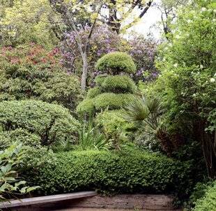 Mon Jardin & Ma Maison 776 RÊVE D'EXOTISME