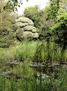 Mon Jardin & Ma Maison 776 DES FORMES ET DES VOLUMES