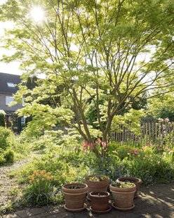Mon Jardin & Ma Maison 776 LE DOSSIER DU MOIS