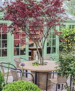 Mon Jardin & Ma Maison 776 Un arbre en pot, pour la déco