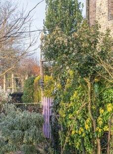 Mon Jardin & Ma Maison 776 EN RÉSUMÉ